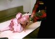 About How To De-bone A Turkey - Part 1